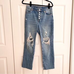 Wild Fable High Rise Straight Ankle Jeans